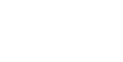 Bizkaiko Foru Aldundia logoa